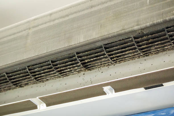 Ventilation Cleaning Services in West Ishpeming, MI